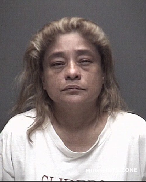 Castillo Isabel Sanchez Galveston County Mugshots Zone