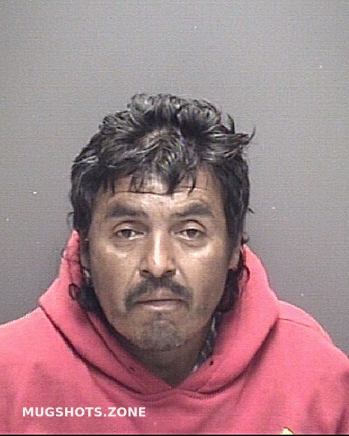 Guerrero Emiliano Martinez Galveston County Mugshots Zone