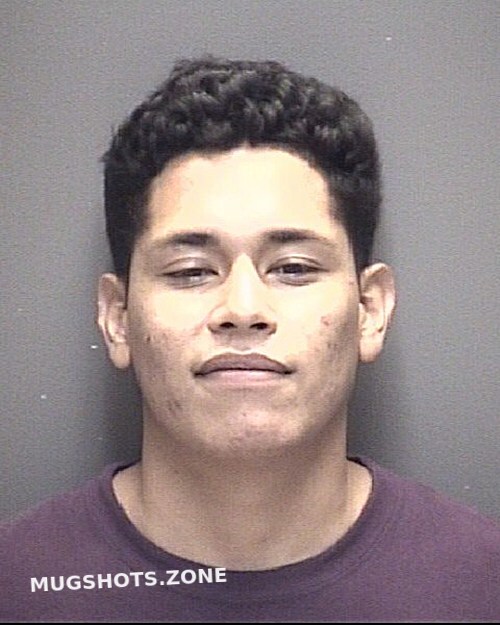 Mercado William Josue Galveston County Mugshots Zone