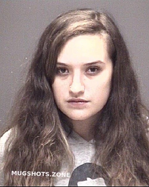 Crow Lauryn Elisabeth Galveston County Mugshots Zone