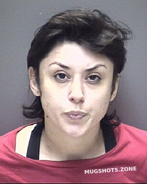 Gonzalez Ashley Nicole Galveston County Mugshots Zone