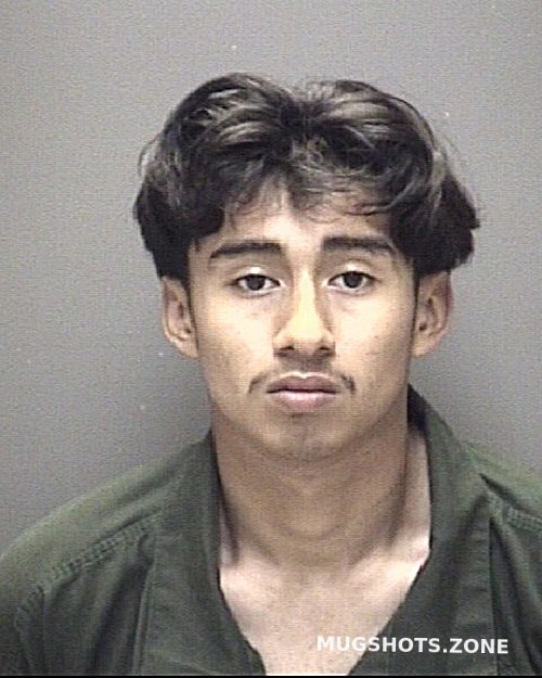 HERNANDEZ BRYAN SALOMON 03 10 2023 Galveston County Mugshots Zone