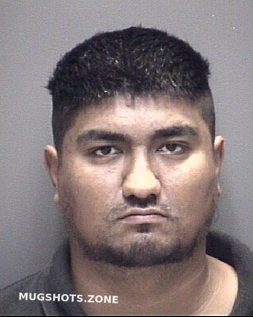 Gonzalez Eduardo Alberto Galveston County Mugshots Zone