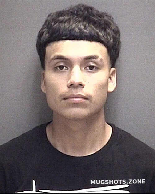 Rocha Fernando Galveston County Mugshots Zone