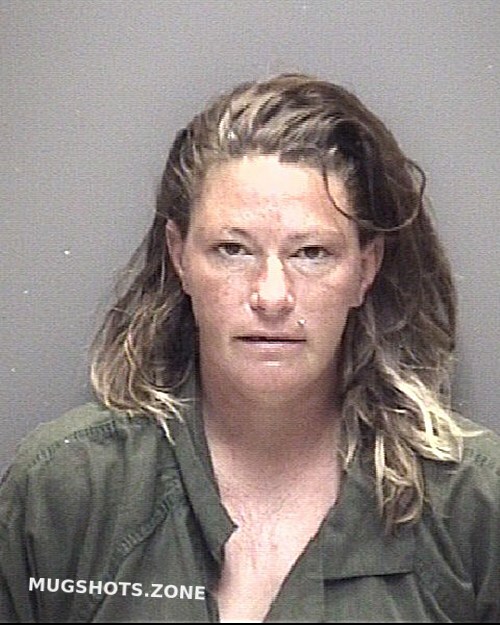 Elkins Ashley Nicole Galveston County Mugshots Zone