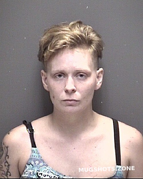 Wilkerson Lisa Ann Galveston County Mugshots Zone