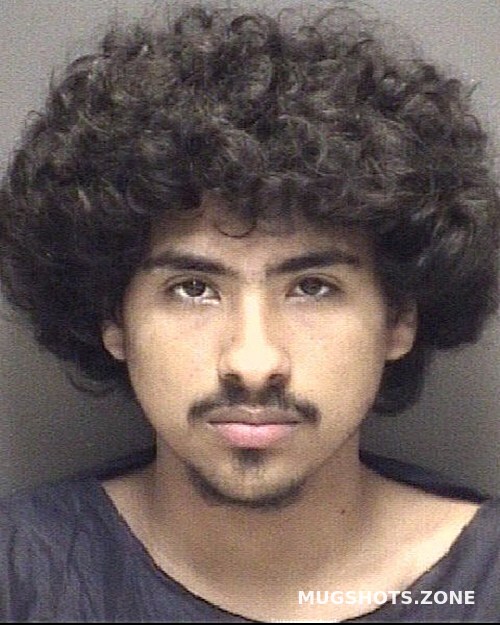 Chavez Daniel Martin Galveston County Mugshots Zone