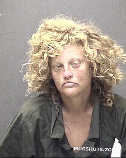 Ridgeway Crystal Michelle Galveston County Mugshots Zone