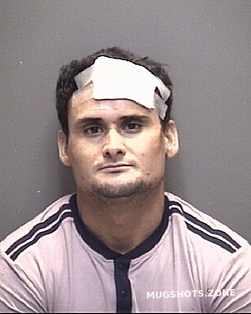 Banegas Cruz Francisco Adalberto Galveston County Mugshots