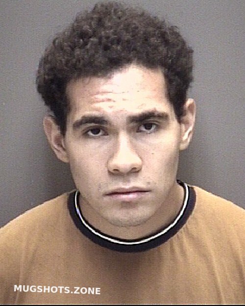 Portillo Hector Daniel Galveston County Mugshots Zone