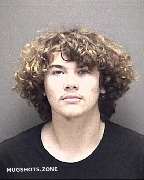 Golden Ethan Andrew Galveston County Mugshots Zone