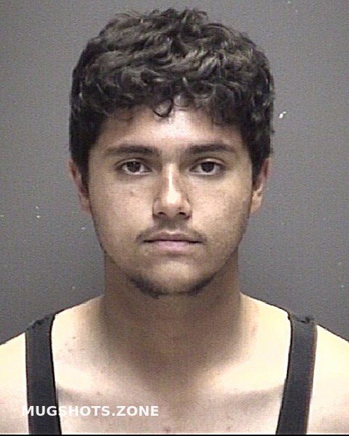 HERNANDEZ RICHARD 05 19 2024 Galveston County Mugshots Zone