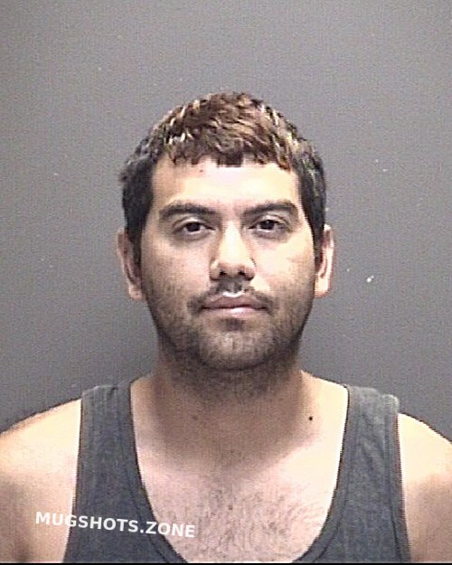 Sotelo Sergio Galveston County Mugshots Zone