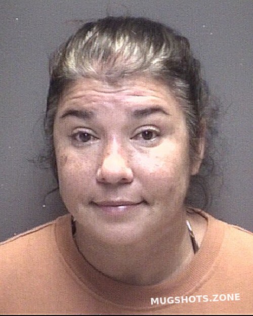 GARCIA ANNA MARIA ROMERO 07 06 2024 Galveston County Mugshots Zone