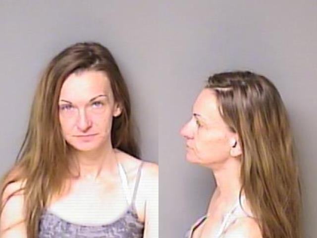 HENDRICKS KRISTIE MICHELLE 12 27 2020 Gaston County Mugshots Zone