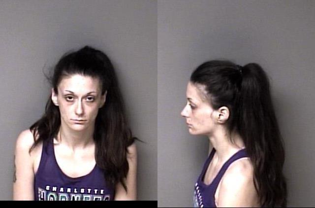 ROGERS TABATHA LEEANN 03 18 2021 Gaston County Mugshots Zone