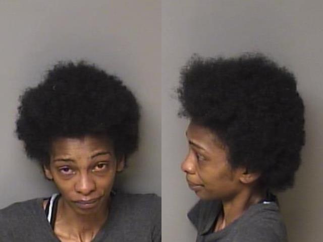 Hopkins Daisha Cierra Gaston County Mugshots Zone