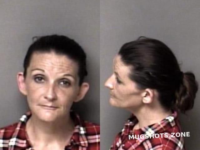 Keese Teresa Lynn Gaston County Mugshots Zone