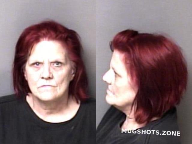 Norris Tammy Elaine Gaston County Mugshots Zone