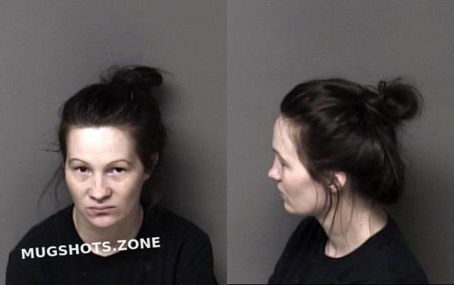 Pilkington Megan Renee Gaston County Mugshots Zone