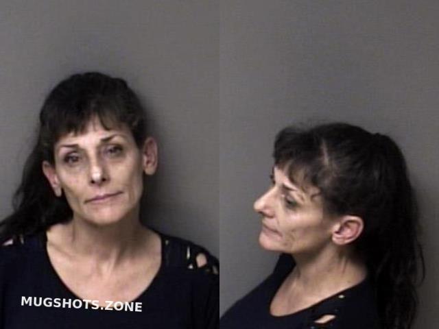 Schwab Pamela Gaston County Mugshots Zone