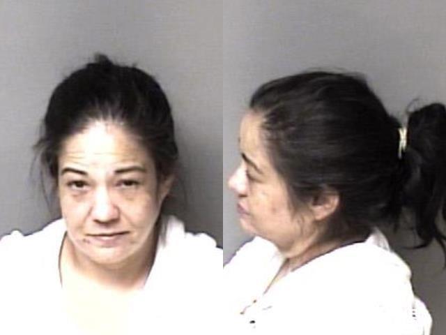 Glance Gloria Suzanne Gaston County Mugshots Zone