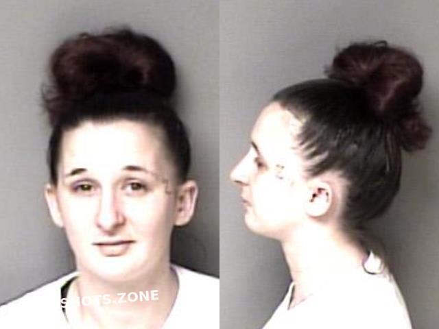 Roseberry Hayley Alynn Gaston County Mugshots Zone