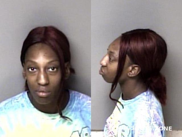 HANNIBAL RAVEN PATRICE 10 25 2023 Gaston County Mugshots Zone