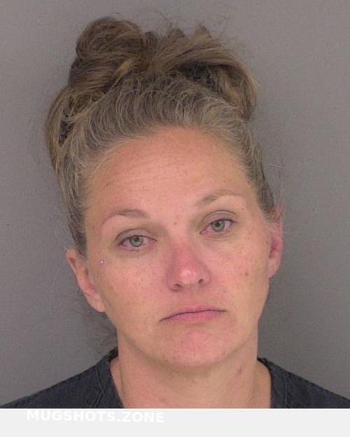 Prewitt Lisa Lynn Greene County Mugshots Zone