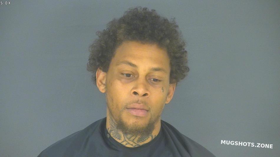 Gomes Ricardo James Jr Halifax County Mugshots Zone