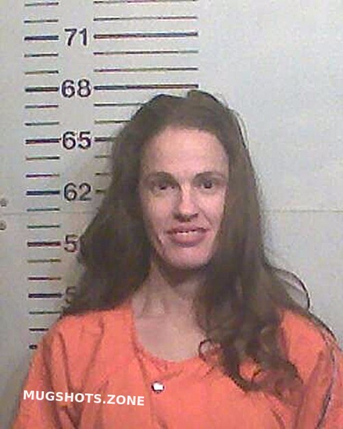 Roberson Cortney Gail Hamilton County Mugshots Zone