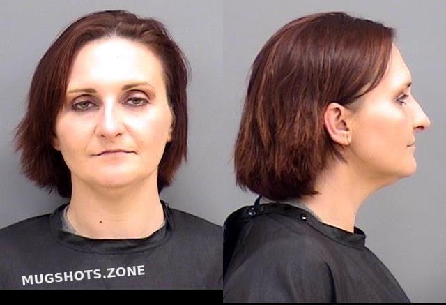 Hankins Michelle Lee Hamilton County Mugshots Zone