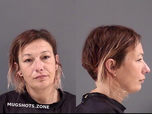 Shoaf Jamie Leanne Hamilton County Mugshots Zone