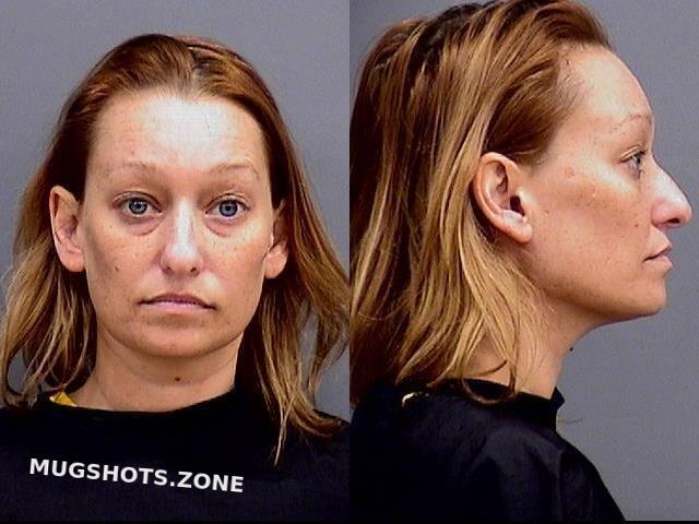 Wilkins Kelli Ann Hamilton County Mugshots Zone