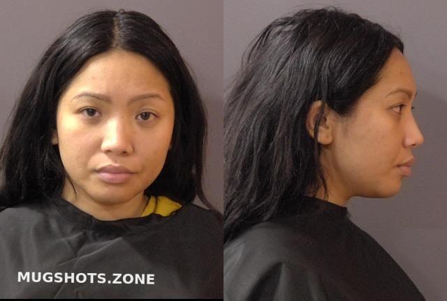 GILLIS KATHY KIM 04 13 2023 Hamilton County Mugshots Zone