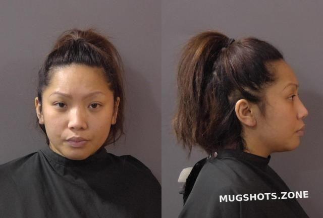 Gillis Kathy Kim Hamilton County Mugshots Zone