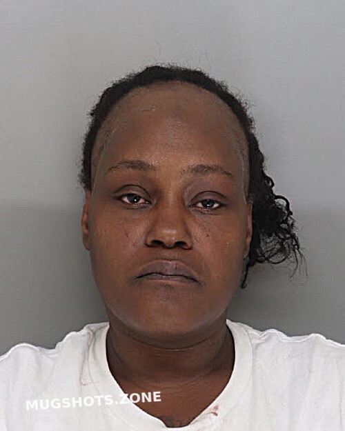 Knox Ronisha Hamilton County Mugshots Zone