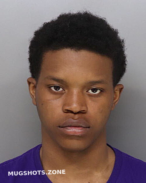 Adams Dashawn Hamilton County Mugshots Zone