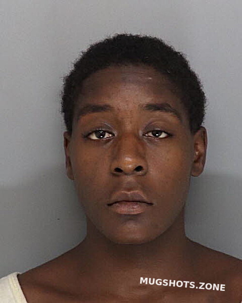 Satterwhite Jaiaire Hamilton County Mugshots Zone