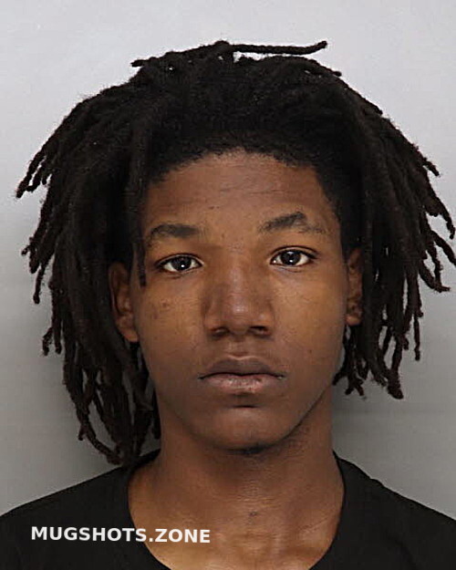 Goodwin Riley Lamar Hamilton County Mugshots Zone