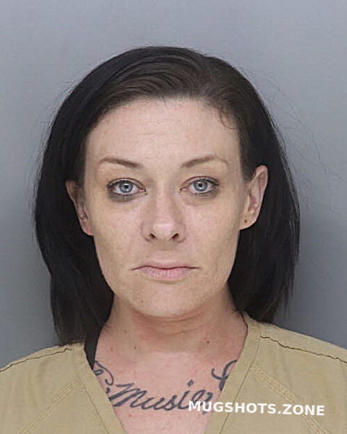 Marshall Meghan Hamilton County Mugshots Zone