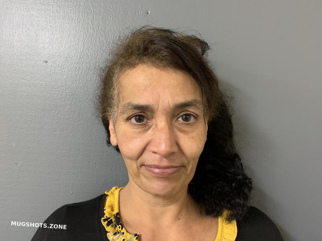 GONZALES MARITZA ESCAMILLA 02 20 2023 Hardee County Mugshots Zone