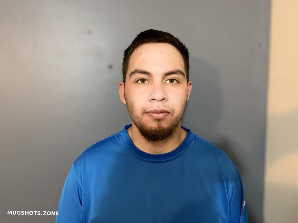 Gonzales Enrique Junior Hardee County Mugshots Zone