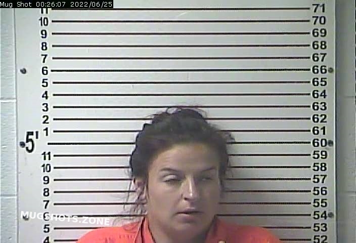 HOLLANDSWORTH MANDY LYNN 06 24 2022 Hardin County Mugshots Zone