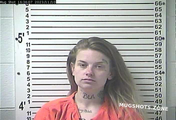 PETTY BRIANNA NICOLE 11 10 2023 Hardin County Mugshots Zone