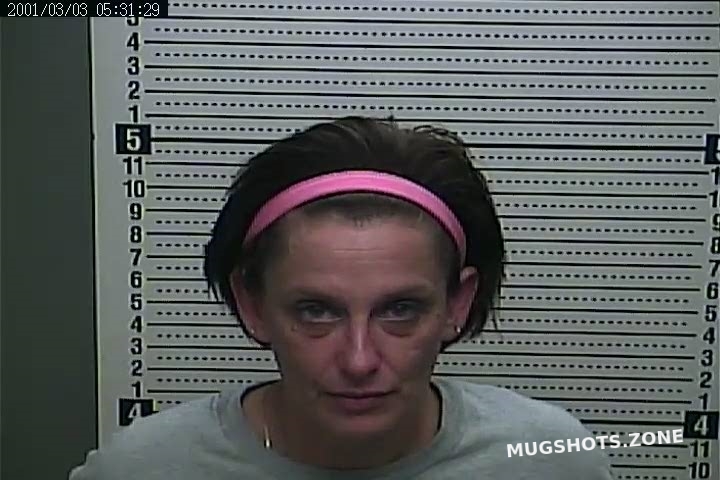 WILLIAMS MISTY 11 01 2022 Harlan County Mugshots Zone