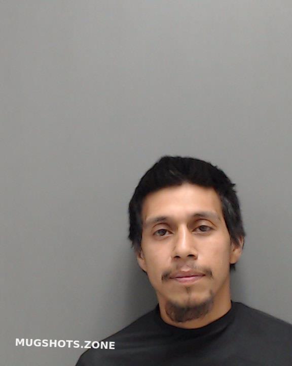 Mendoza Jose Manuel Harrison County Mugshots Zone