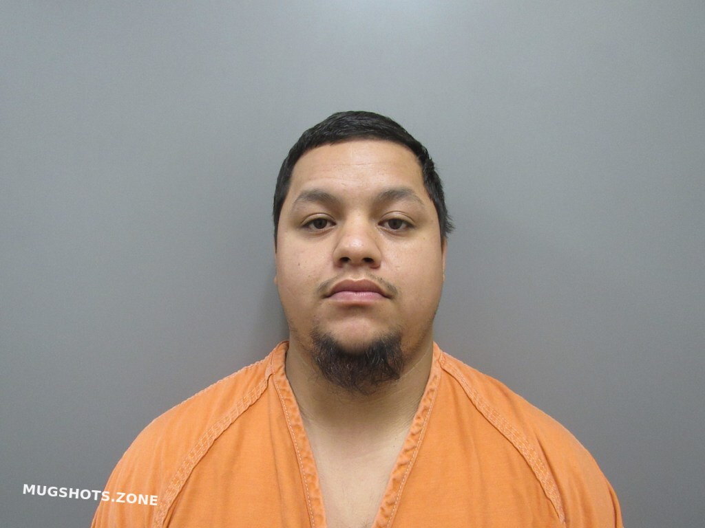 Gorostiza Jacob Martin Harris County Mugshots Zone