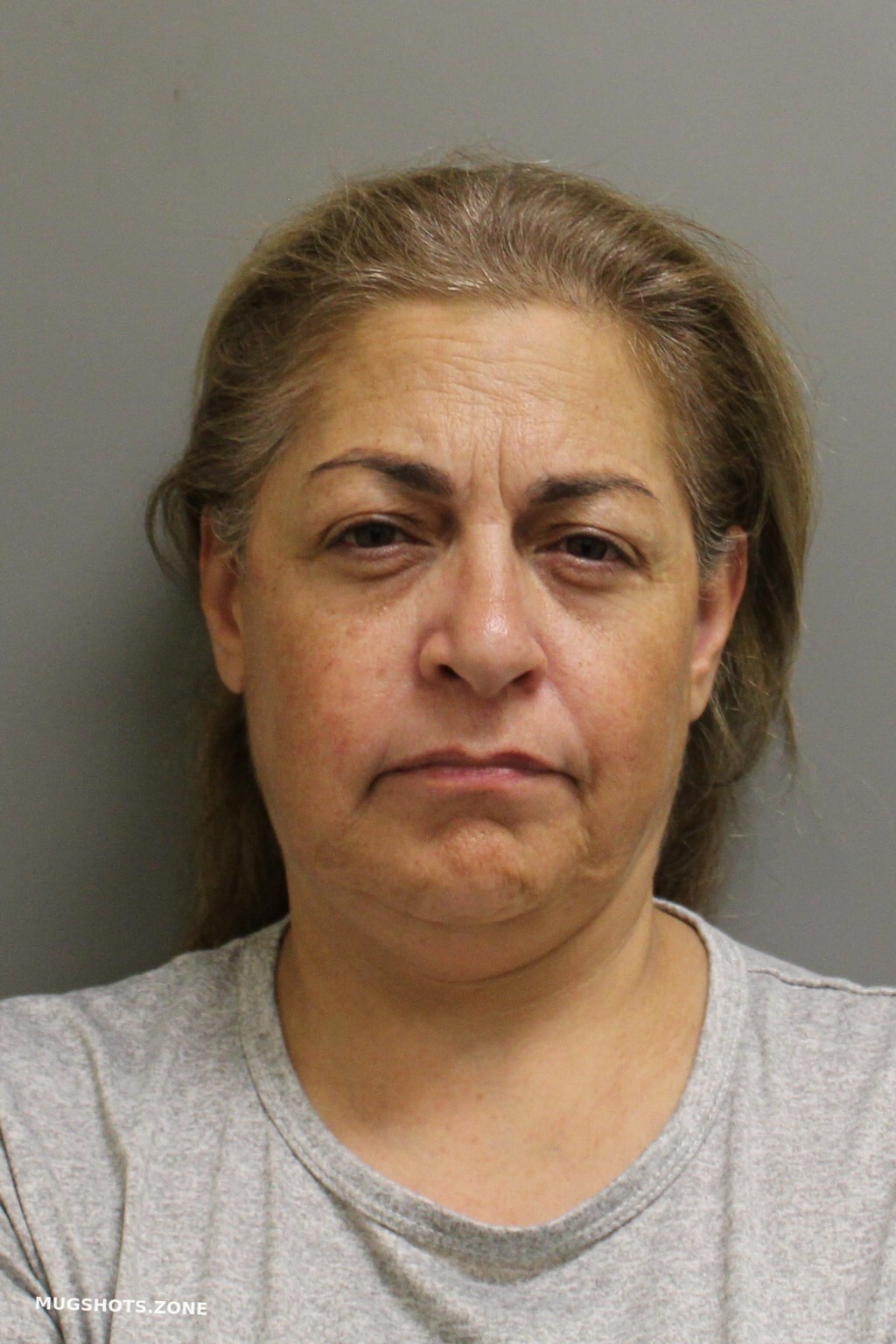 Ortega Amalia Ramirez Harris County Mugshots Zone