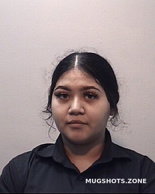 CASTILLO LYDIA LEANN 02 27 2024 Harris County Mugshots Zone